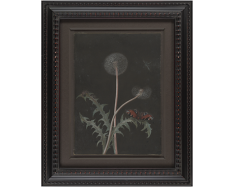 a painting of two intersecting dandelions. There is a butterfly resting on the leaf of one of the dandelions. The background of the painting is dark.