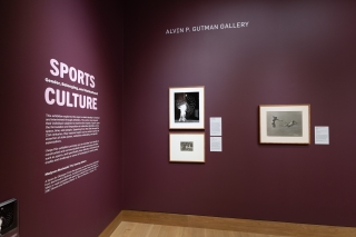An instillation image of "Sports Culture: Gender, Belonging, and Nationhood." The room is painted plum and has art on the walls. 