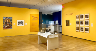 An instillation image of "From the Field: Tracing Foodways through Art" The room is painted yellow and has art on the walls. 