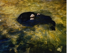 A light skinned female figure dressed entirely in black, with only her face and hands showing. She is sitting in a pool of water and resting her hands and head atop of the water. The water is a yellow-green color. Her eyes and mouth are closed.