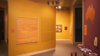 A museum installation of Indigenous Australian art.