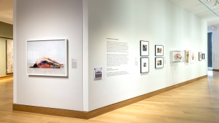 An installation of photographs that use the artist's body as the medium or subject. The work facing the audience is of a nude women reclining on a stack of colorful yoga mats.