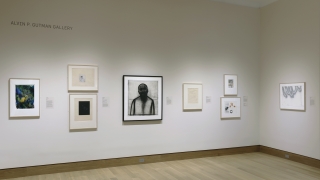 A photograph of a museum gallery installation featuring works by Black artists.