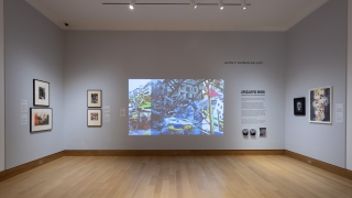 A museum gallery wall painted a gray-lilac. There is a projection of a film in the installation as well as a handful of framed works. It is hard to see the works in the photograph.
