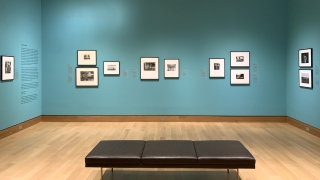 A gallery installed with black and white framed photographs on a bright blue wall.