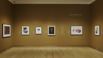 A photograph of a museum gallery and installation. The walls are a dark warm brown and there are seven framed works hung on the walls.