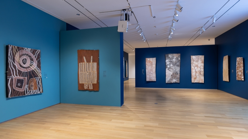 A museum gallery with blue walls and Aboriginal Australian bark paintings hang on the walls.