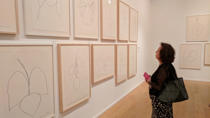 Director's Circle member Linda Roesch views drawings by Ellsworth Kelly on view in Line & Color: The Nature of Ellsworth Kelly at the Norton Simon Museum. Photo by Deborah Tober.