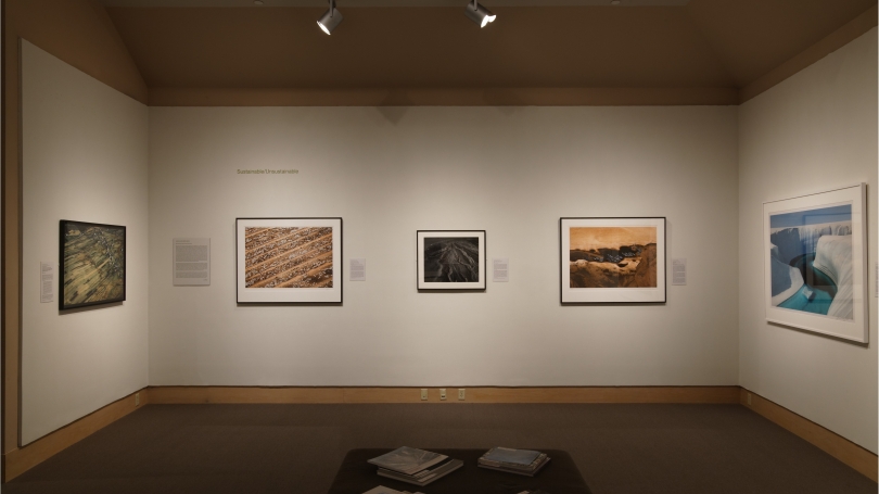 Looking Back at Earth: Environmental Photography from the Hood Museum of Art