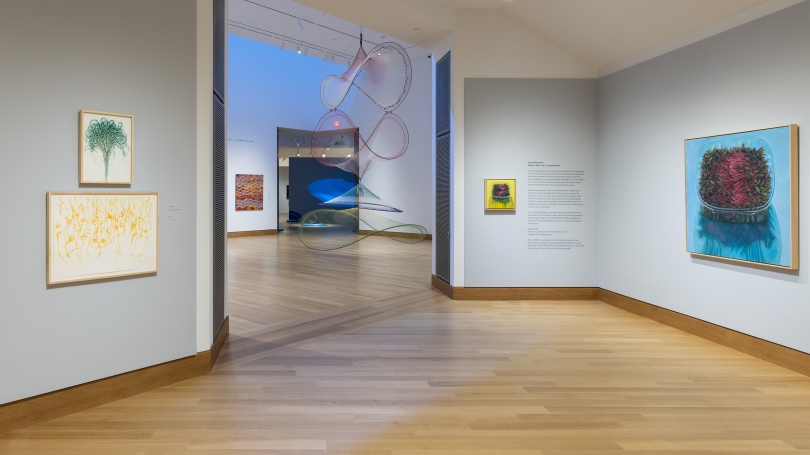 A museum gallery with light gray walls featuring brightly colored oil paintings of sprouts in plastic containers and elegant pencil drawings of garlic.