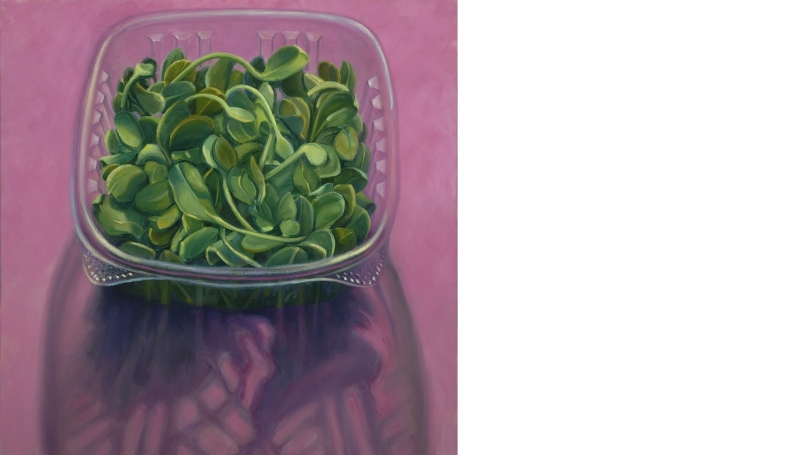 A painting of pea sprouts in a plastic container on a vibrant pink background.
