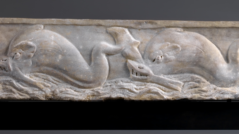 Roman, Imperial, sarcophagus lid fragment; two dolphins swimming