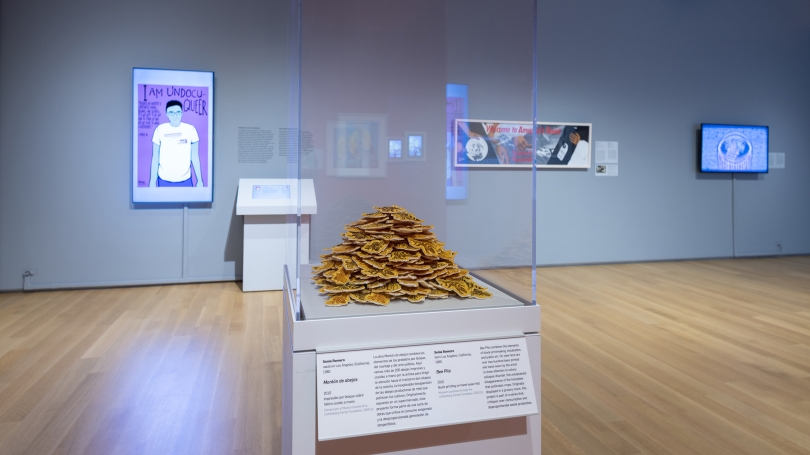 A museum gallery with light blue walls. Framed works hang on the walls as well as framed digital works (on screens). In the foreground is a object case filled with printed felt bees.