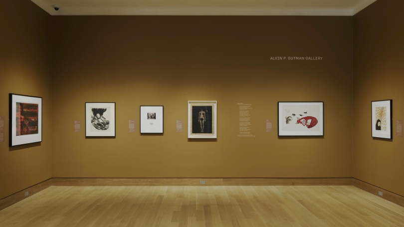 A photograph of a museum gallery with dark tan walls and six framed works on paper hanging on three walls.