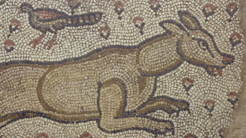 Early Christian, Fragment of a Mosaic Floor Panel Depicting a Rampant Dog in Flying Gallop (detail), about 5th-6th century, marble tesserae.