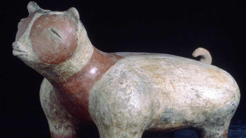 Nayarit, Dog (Lagunillas Style) (detail), 100-300, burnished terracotta with cream slip and red bands on face, neck and feet. Hood Museum of Art, Dartmouth: Gift of Evelyn A. and William B. Jaffe, Class of 1964H; S.958.364.