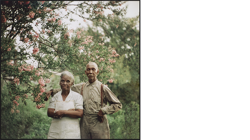 a dark skinned man and woman stand in a garden surrounded by flowering trees. 