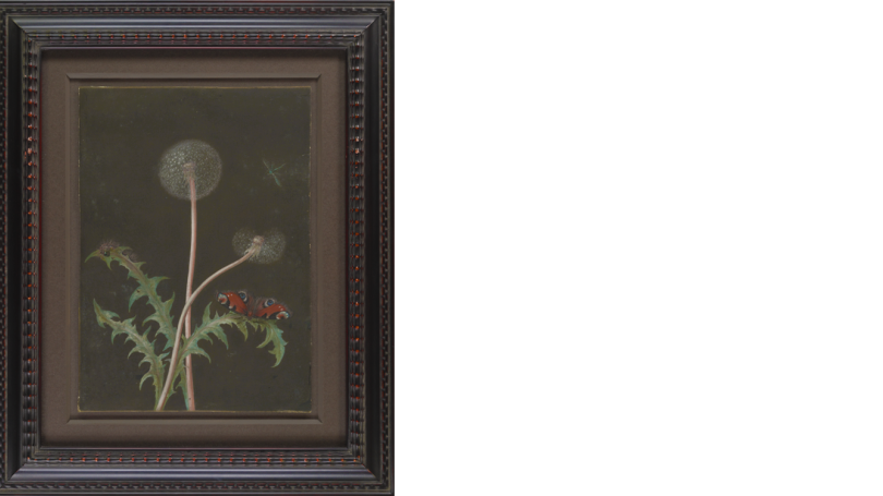 A painting of a dandelion with a butterfly. the background is dark and the butterfly is red.